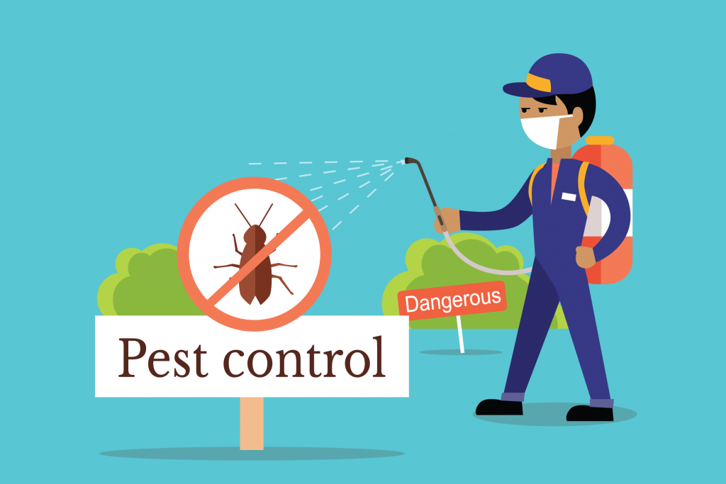 pest control solutions