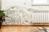 Be Free From Damp Walls And Leakages