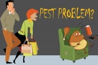 Bye Bye Pests – Hello Clean, Pest-Free Home!